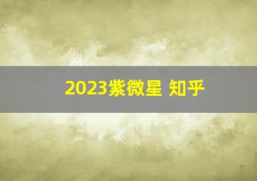 2023紫微星 知乎